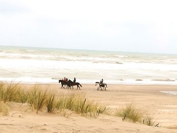 People riding horse on beach against clear sky