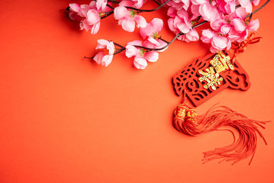 High angle view of pink flowering plant