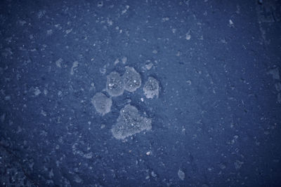 Close-up of water against sky at night