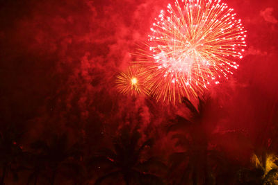 Low angle view of firework display at night