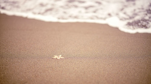 Full frame shot of beach