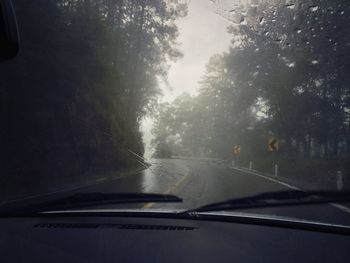 Road passing through car windshield