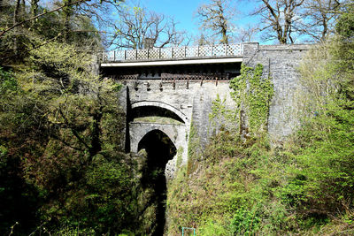 Low angle view of bridge in forest against sky