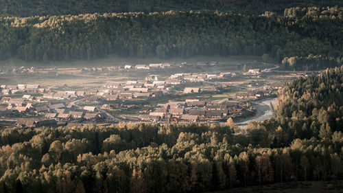 Aerial view of agricultural field