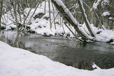 Scenic view of frozen river amidst trees during winter