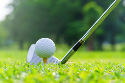 Close-up of golf ball on grass