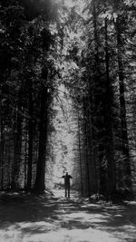 Rear view of man walking on road in forest