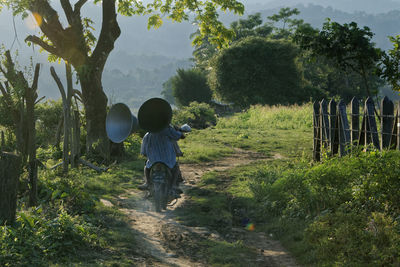 Rear view of children on field against trees