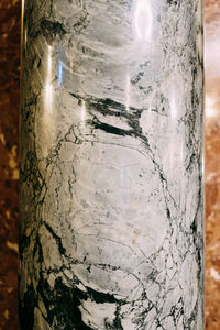 Close-up of glass on tree trunk