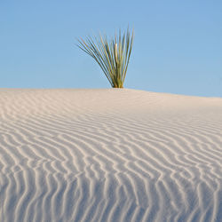 Scenic view of sand dune against clear sky