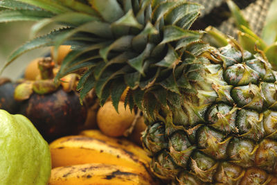 Close-up of pineapple