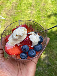 Midsection of person holding ice cream in bowl