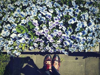 Low section of woman standing by flower tree