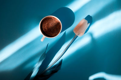 Directly above shot of flower with coffee cup on colored background