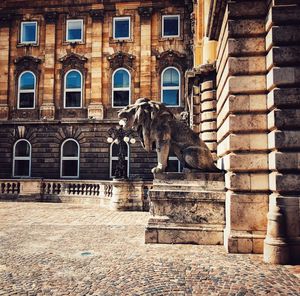 Low angle view of a cat against building