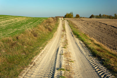 Sandy country road through the fields, brzezno, poland