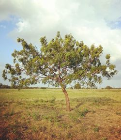 Scenic view of grassy field against cloudy sky