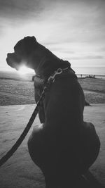 Close-up of man with dog against sky