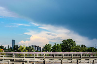 Trees in city against sky