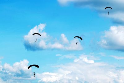 Low angle view of birds flying against sky