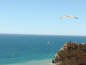 Seagull flying over sea