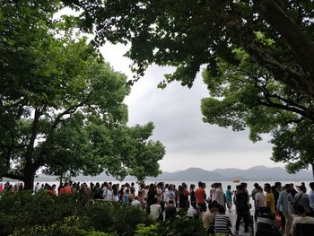 People on tree against sky