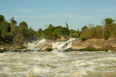 Scenic view of river amidst trees against sky