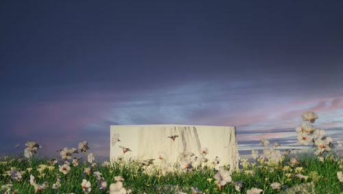 Natural beauty podium backdrop with spring rose flower field scene. 3d rendering.