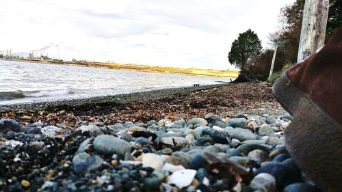 Surface level of pebble beach against sky