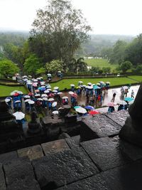 View of people in park