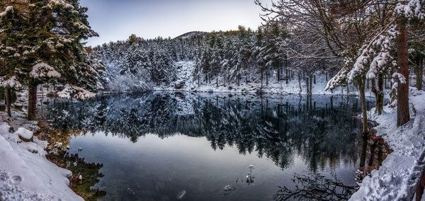 Reflection of trees in lake against sky during winter