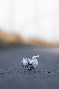 A white paper ball on middle of the road.