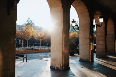 Trees in city against sky