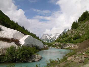 Scenic view of river amidst trees against sky