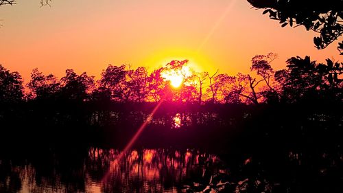 Silhouette trees by lake in forest against sky at sunset