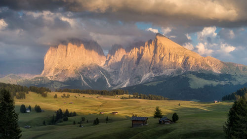 Panoramic view of trees on field against sky