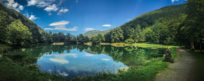 Scenic view of lake in forest against sky