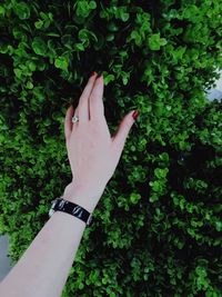 Close-up of woman hand against plants