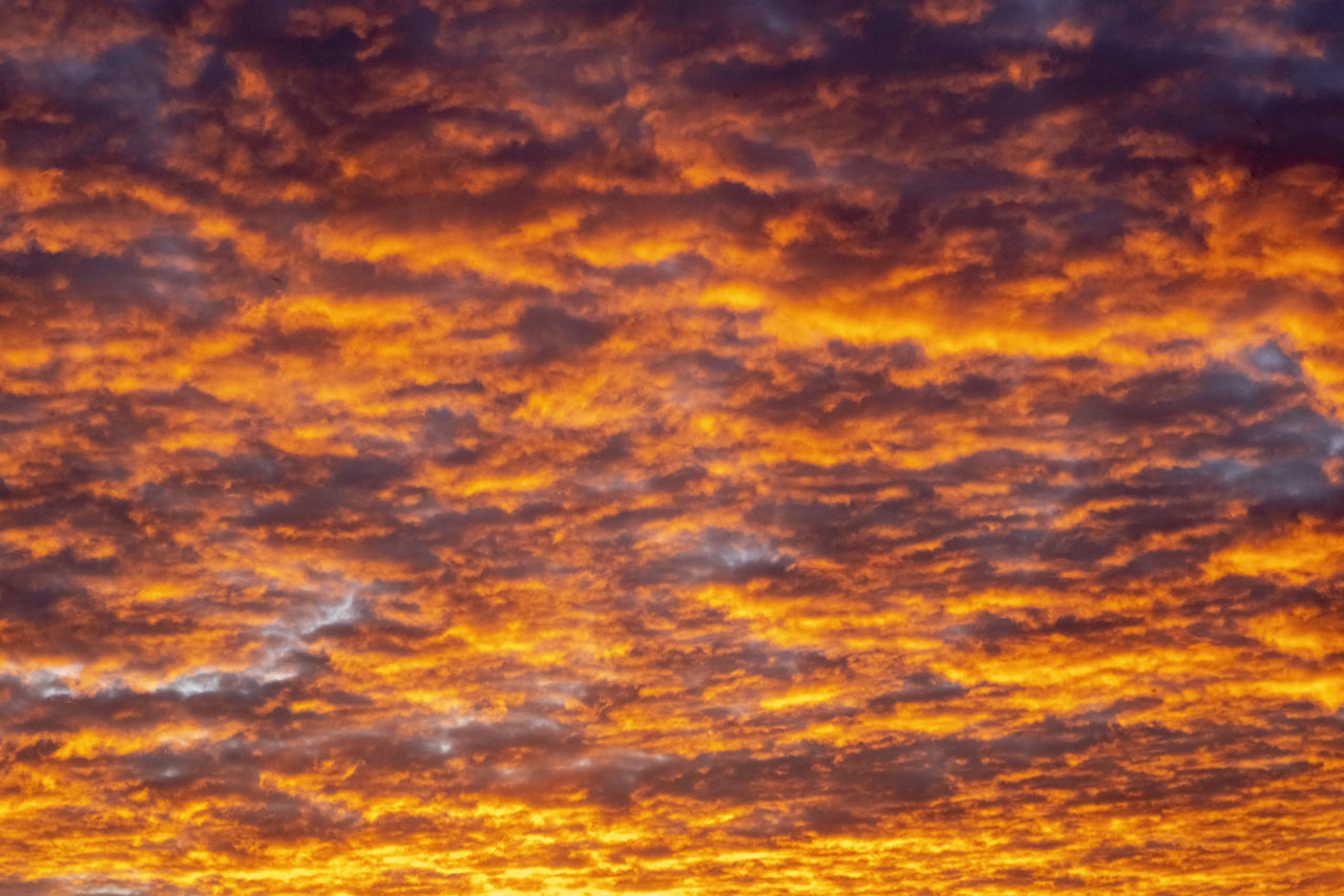 FULL FRAME SHOT OF ORANGE SKY