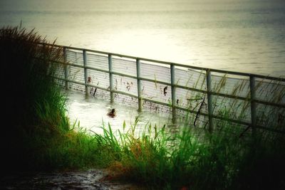 Scenic view of lake