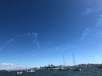 Sailboats in marina at harbor