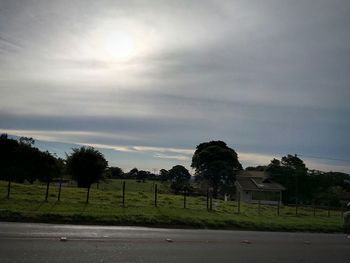 Trees on landscape against sky