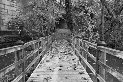 Narrow walkway leading to footbridge