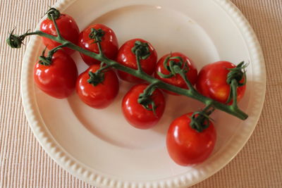 High angle view of tomatoes in plate on table