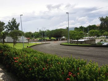 Footpath amidst trees in park