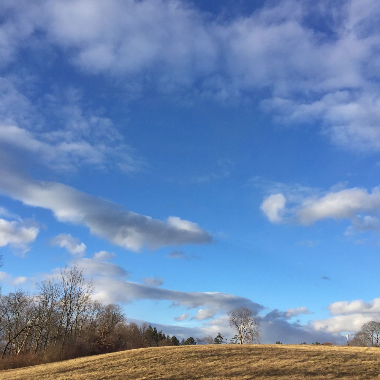 cloud - sky, sky, tree, nature, beauty in nature, scenics, landscape, outdoors, tranquility, no people, day