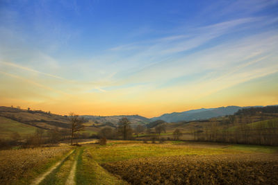 Scenic view of field against sky