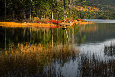 Scenic view of lake during autumn