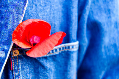 Close-up of red blue flower