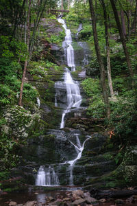 Waterfall in forest